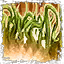 Skill DOS2 Living Wall Icon.png