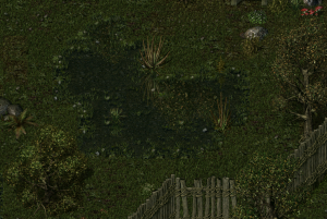 Pool of Water (DD).png